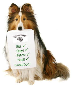 Dog Training